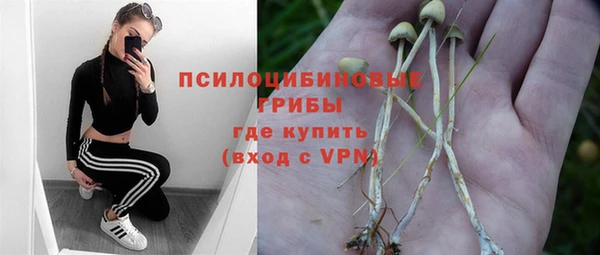 2c-b Беломорск