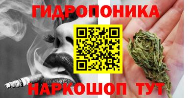 стафф Волжск