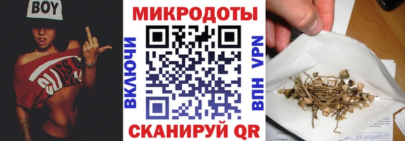 дарнет шоп  Беслан  Псилоцибиновые грибы мицелий 