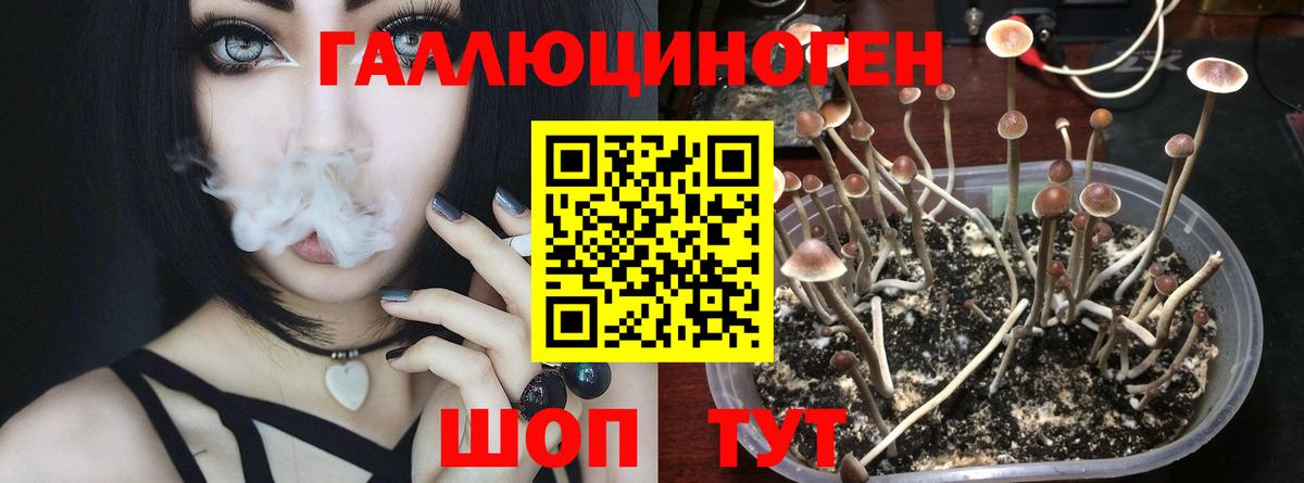 Псилоцибиновые грибы мухоморы  Вход с VPN  наркота  Псилоцибиновые грибы Magic Shrooms  Беслан 